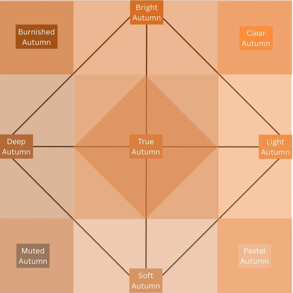 Shades of You Color Analysis - Picture 4 of 4